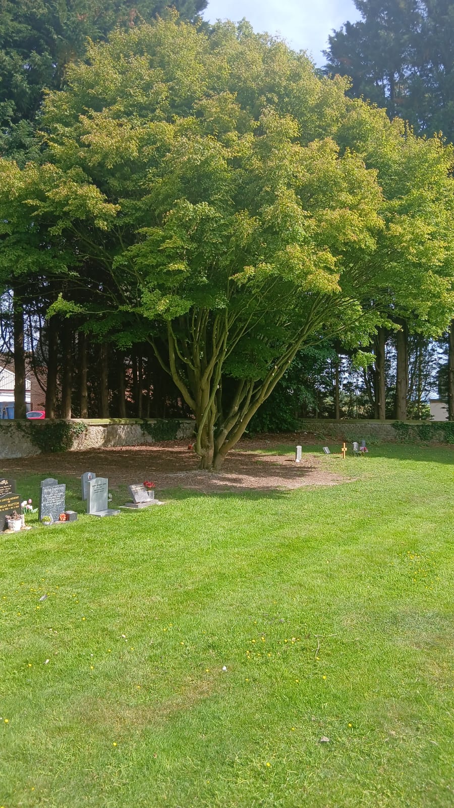 Cemetery